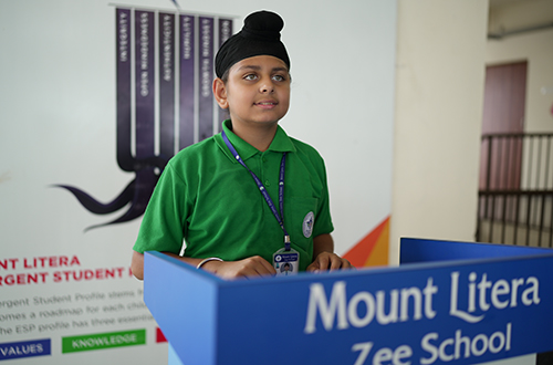 mlzs-chanchal 
